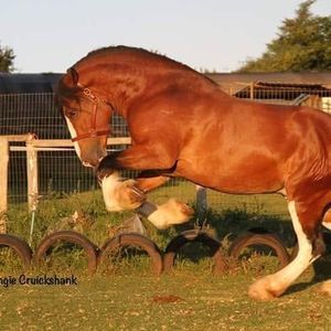 Meet your Posher, Robert